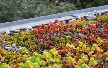 the cost of Cwmynyscoy green roof installation