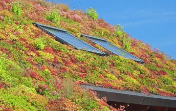Cwmynyscoy living roof systems