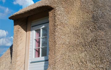 Cwmynyscoy thatch roof disadvantages